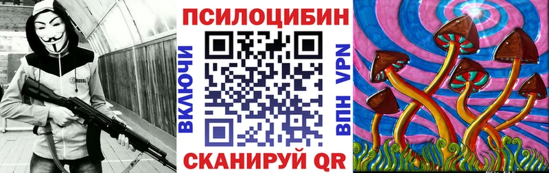 Галлюциногенные грибы Psilocybine cubensis  Уржум 