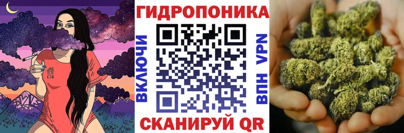 купить закладку  Уржум  МАРИХУАНА план 